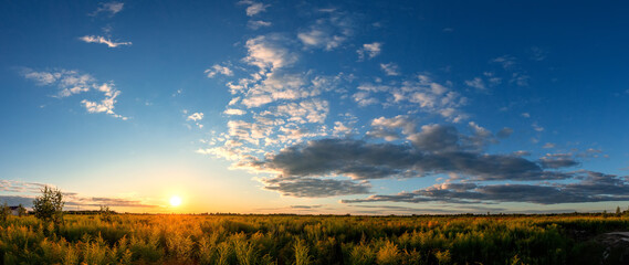 Wide panoramic view. Panorama of summer sky over field at sunset
