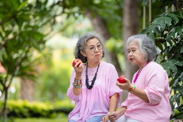Fototapeta premium Two Elderly Women Sitting Outdoors, Enjoying Red Apples Together, Sharing a Moment of Friendship and Conversation Amidst Lush Greenery
