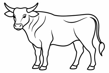 Bull line art vector illustration	