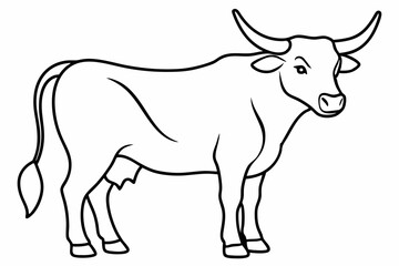 Bull line art vector illustration	