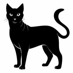 Burmilla Black silhouette