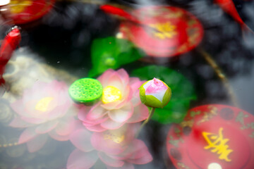 The lotus and water in the wishing pond