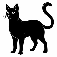 Burmilla Black silhouette