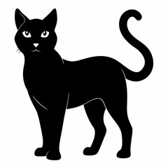 Burmilla Black silhouette