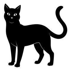 Burmilla Black silhouette