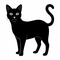 Burmilla Black silhouette