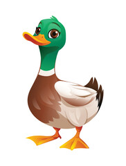 Duck cartoon illustration isolated on white background