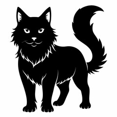 Obraz premium Highlander cat Black silhouette