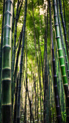 Obraz premium Bamboo forest background