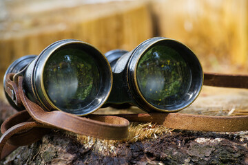 Close-up view of vintage binoculars placed on a tree log in a forest