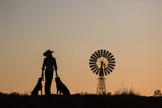 Girl farmer with dogs and windmill in silhouette