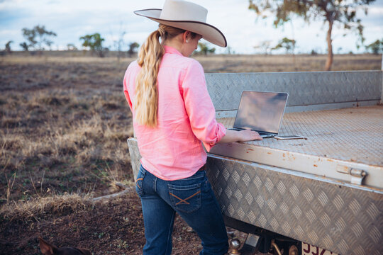 Teenage Female farmer using laptop in the paddock