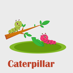 Learning alphabet C for Caterpillar