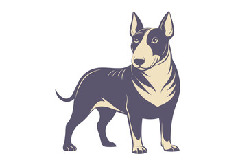 English Bull Terrier dog. Animal portrait