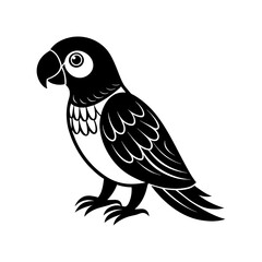 Cute parrot bird illustration
