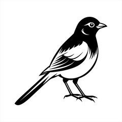 Cute bird icon illustration