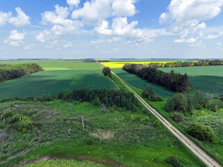 Bushland and windbreaks with canola, barley and wheat fields in the distance