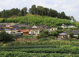 Seoak-dong, Gyeongju-si, Gyeongsangbuk-do, South Korea - August 9, 2022: Summer view of field and tile roof houses at Seoak Village
