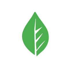 green leaf vector icon