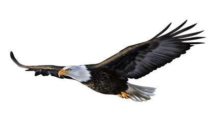 Hand drawing of Bald eagle flying isolated on transparent background