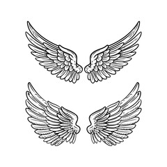 Sketch angel wings. Angel feather wing illustration.