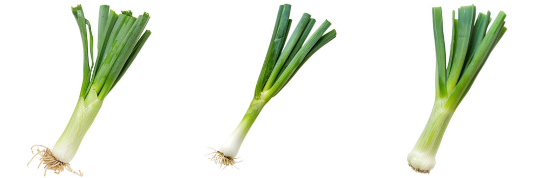 Set of A fresh leek isolated on transparent background  (3)