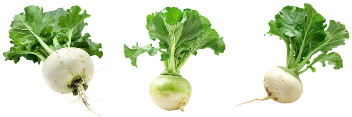 Set of A fresh, crisp turnip with its green leaves still attached isolated on transparent background