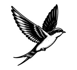 swift bird hand drawn vintage vector