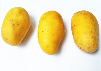 Three yellow mango on white background