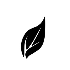 leaf silhouette icon