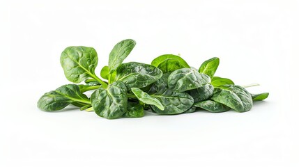 Fototapeta premium Fresh spinach leaves isolated on a white background. Bunch of green organic baby spinach. Healthy eating concept.