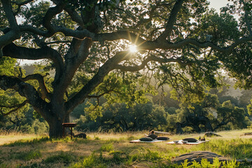 Fototapeta premium A wellness retreat in the park with stations for aromatherapy, yoga, and mindfulness meditation under old oak trees