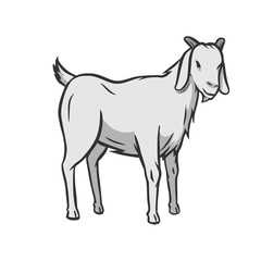 Hand drawn, flat, vector goat outline design