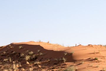The red dunes of the Kalahari as seen in the Kgalagadi Reserve, South Africa