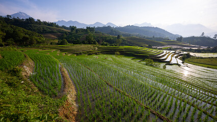 Irrigated  rice terraced fields and  blue cloudy sky near Mu Cang Chai, Yen Bai province, North-Vietnam