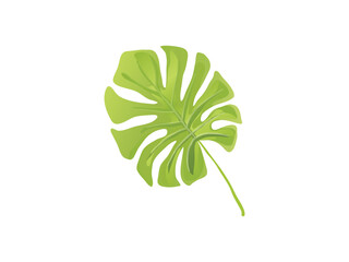 Monstera leaf, illustration tropical exotic leaf for wallpaper vintage