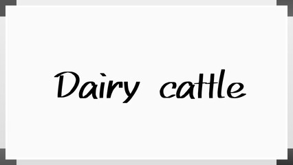 Dairy cattle のホワイトボード風イラスト