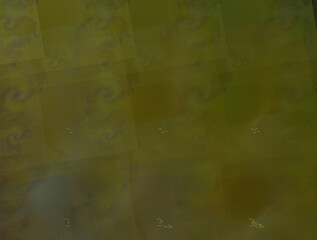 Imaginatory fractal abstract background Image