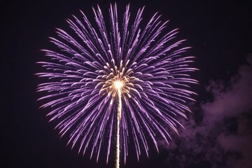 Purple Firework  in night time