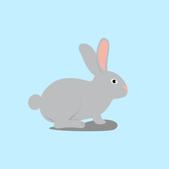 Illustration vector graphic of a rabbit isolated on blue background.