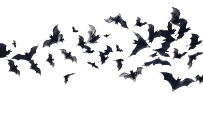 flying flock of black bats, isolated on transparent background, halloween concept