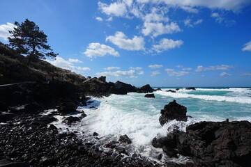 seaside walkway and wild waves