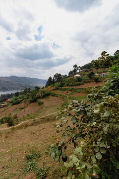 Landscape across southwestern uganda