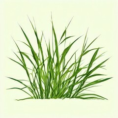 Obraz premium the AI Image Generator, Nutsedge with a white background,