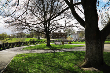 Tranquil Urban Park with Benches and Pathway Under Leafless Trees on a Sunny Day