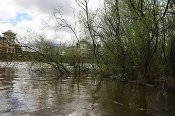Flooded Riverbank with Leafless Trees and Buildings in the Background Under Cloudy Sky