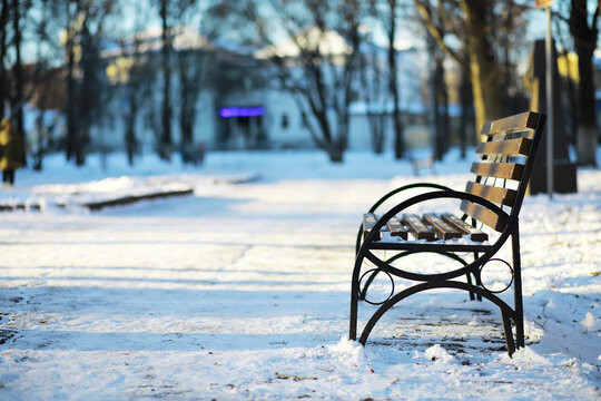 Empty Park Bench in Snowy Winter Park Under Clear Sky