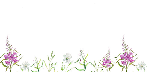 Seamless Banner. Fireweed Flowers. Blooming Sally. Set. Watercolor Sketch Illustration. Wild Plants. Design Elements for Tea Products, Postcards, Home Kitchen Textiles