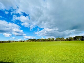 field and blue sky