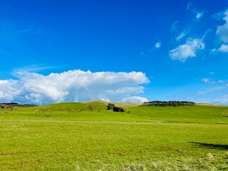 field and blue sky